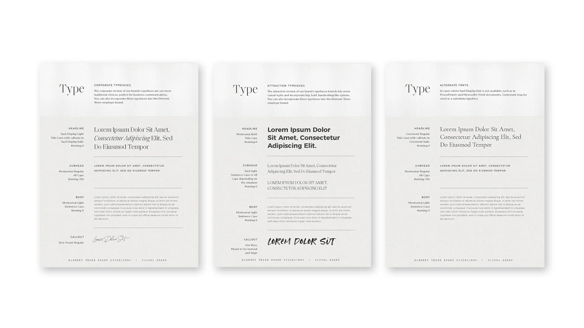 Typography style guide with corporate, attraction, and alternate fonts