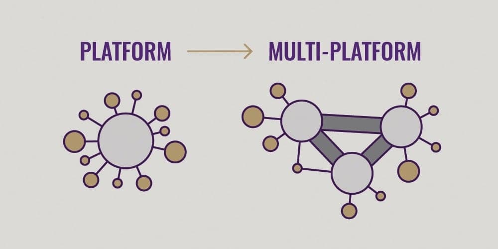 Network diagram visualization showing single platform transitioning to multi-platform