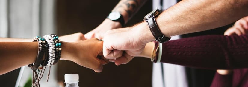 What Does Brand Authenticity Look Like in the Era of Fake News and Fake Followers?