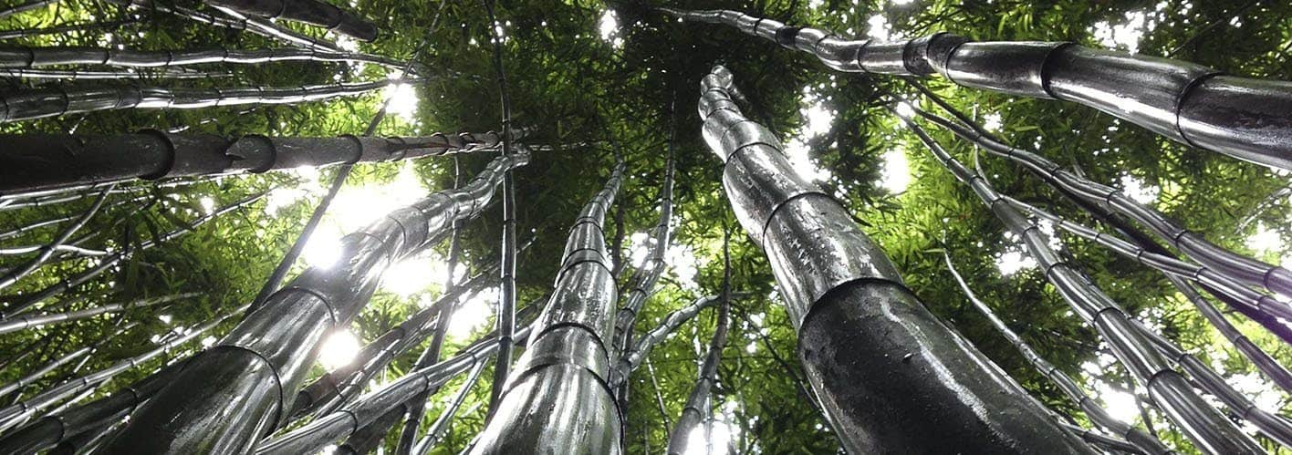 Business Growing Pains (2012): 3 Tips to Survive and Thrive