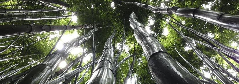 Business Growing Pains (2012): 3 Tips to Survive and Thrive