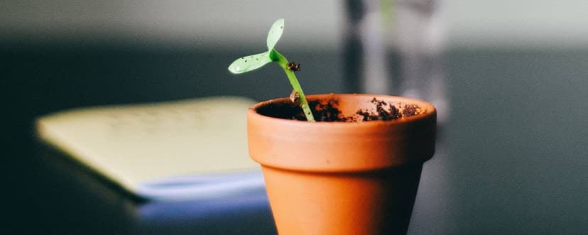 5 Strategies for Building Your Marketing Budget for Growth
