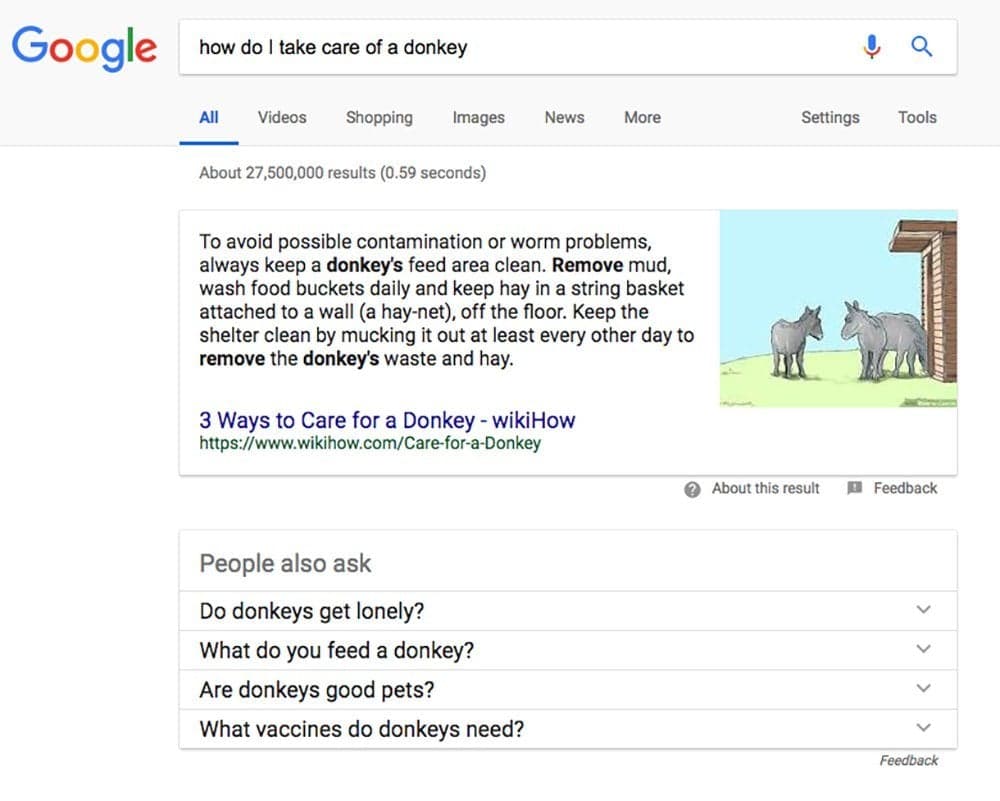 Google search results page for how do I take care of a donkey with livestock care information