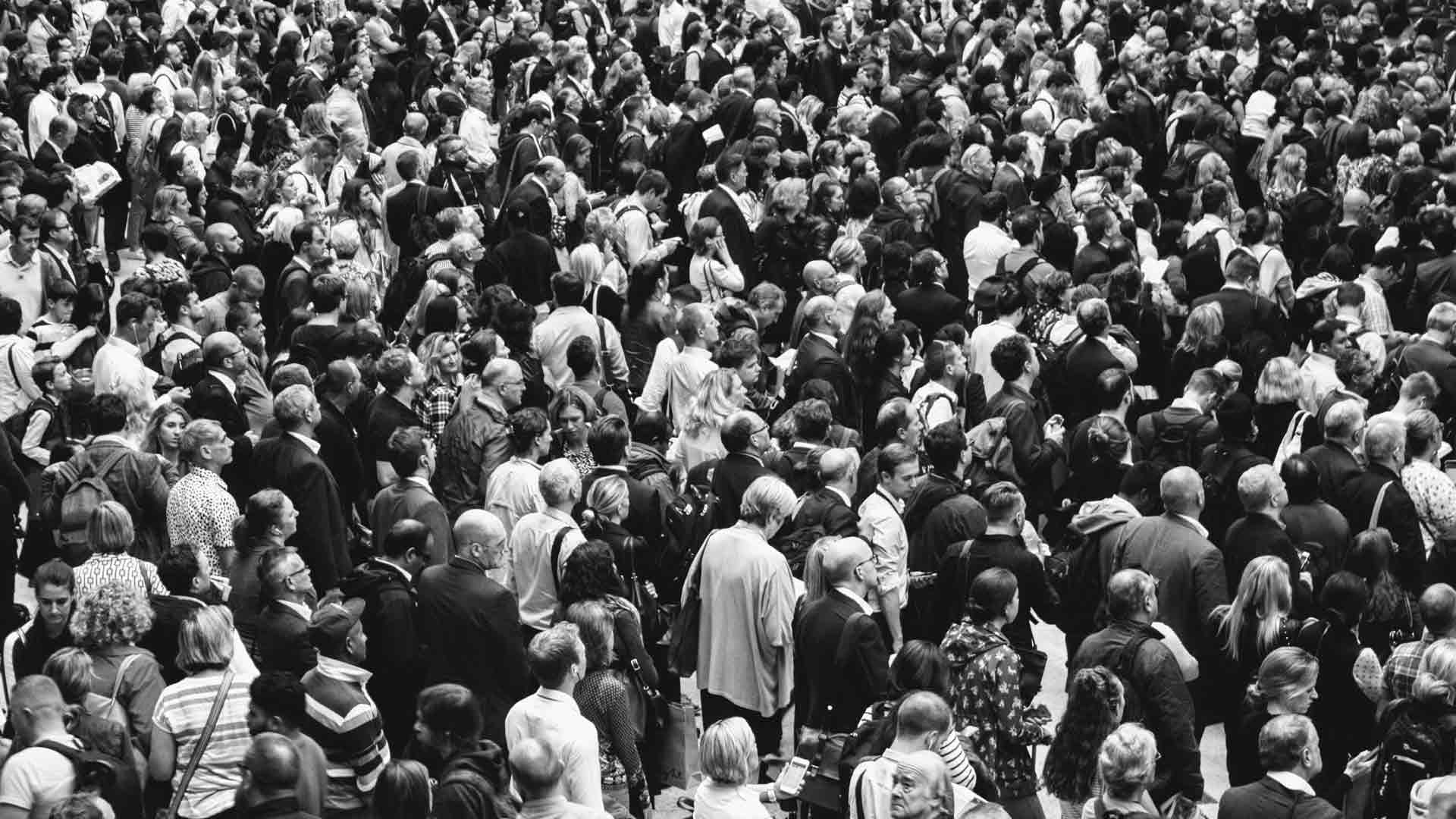 Brand Awareness and Customer Acquisition in Crowded, Competitive Markets