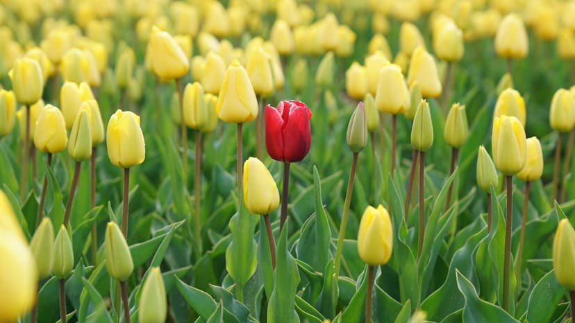 Targeting the Right Audience for Your Brand