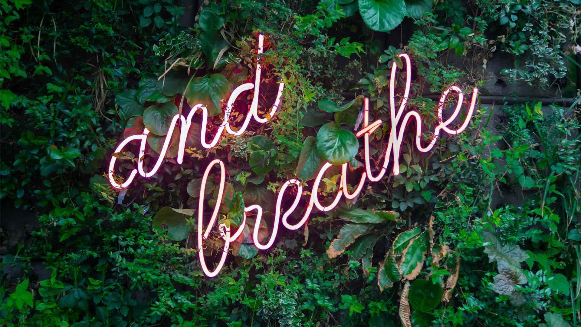 Productivity vs. Self-care: Finding the Right Balance