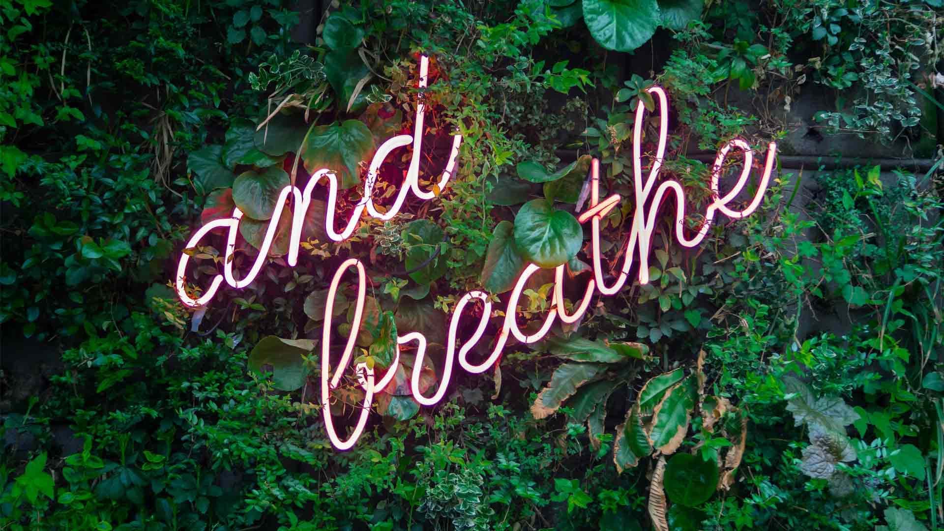 Productivity vs. Self-care: Finding the Right Balance