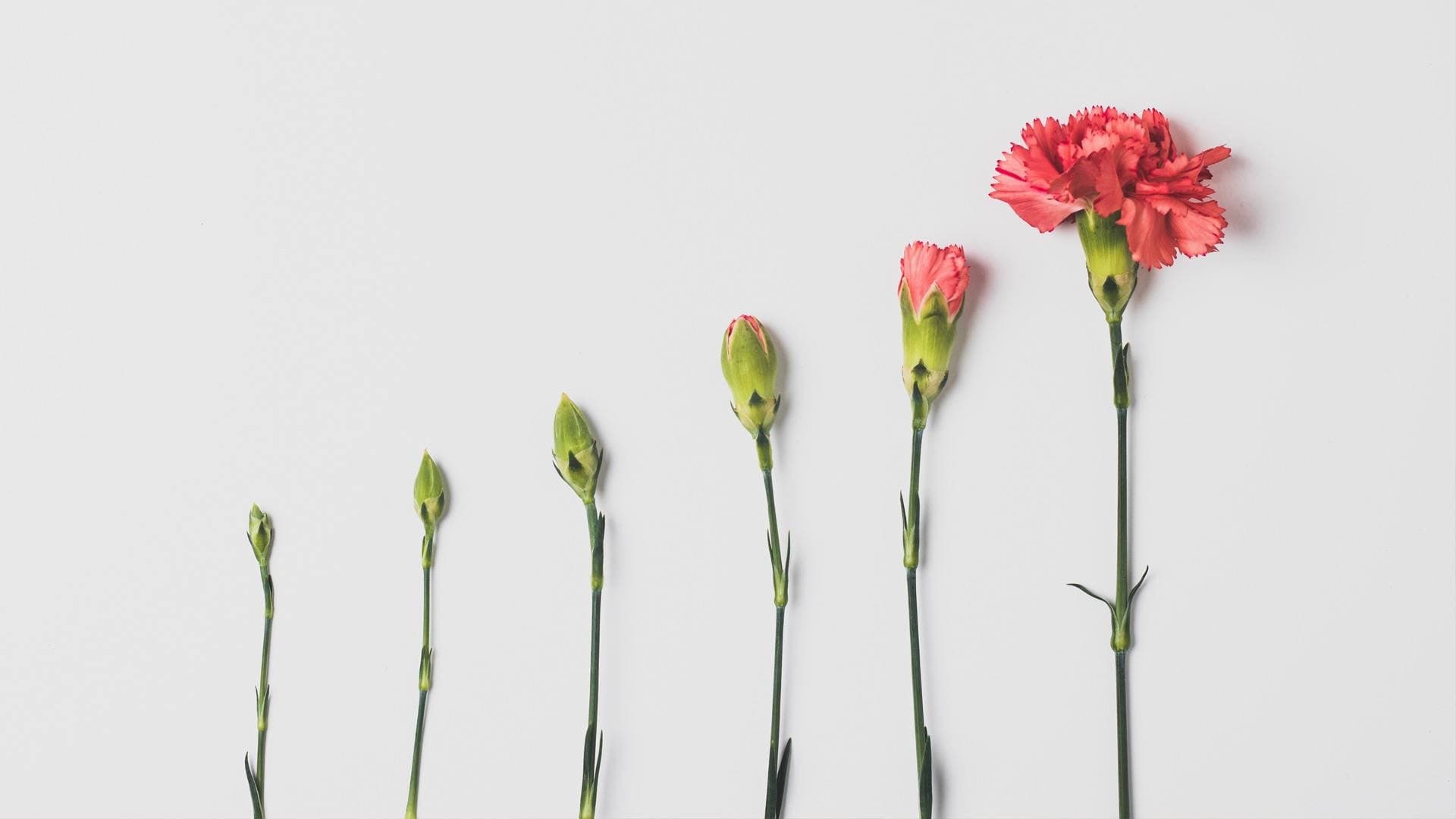 Why Marketing Is Important for Growing Businesses