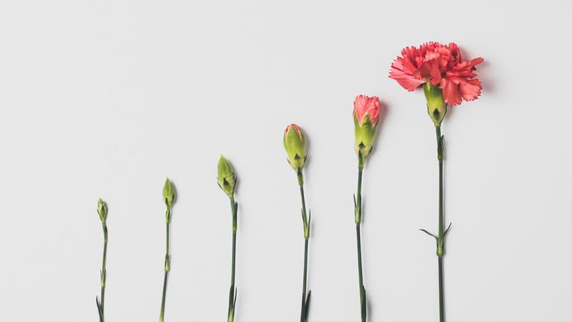 Why Marketing Is Important for Growing Businesses