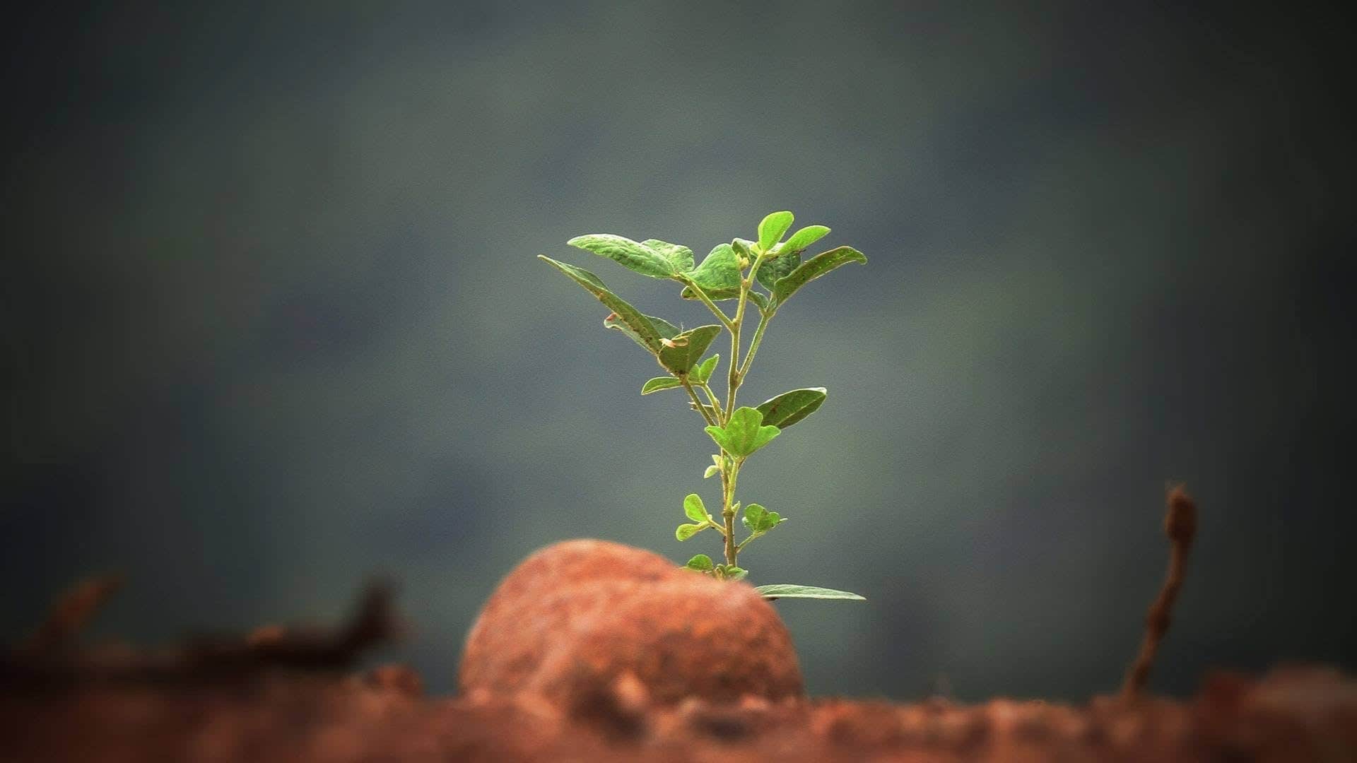 Content Marketing Is a Long-Term Strategy
