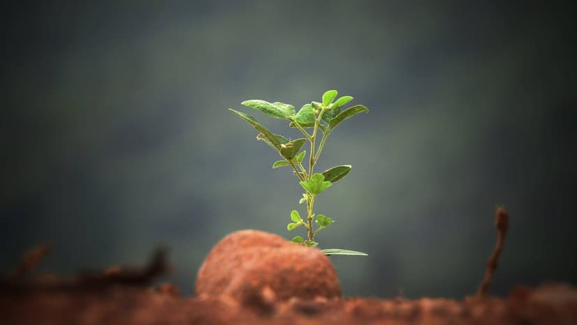 Content Marketing Is a Long-Term Strategy