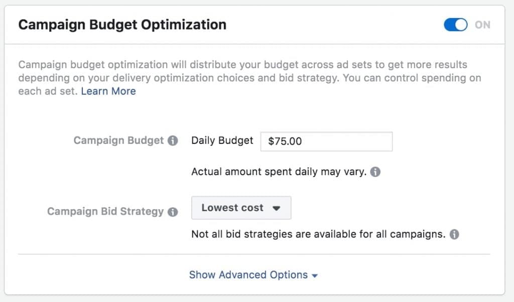 Google Ads campaign budget optimization settings interface