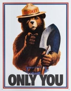 Smokey the Bear forest fire prevention public service announcement poster