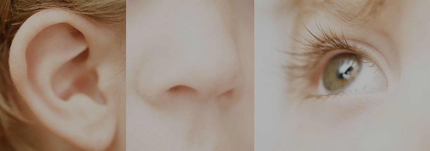 An eye, an ear, and a nose