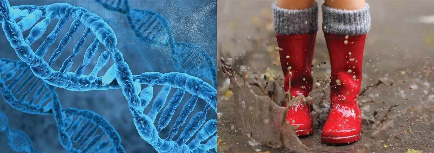 genome next to rainboots splashing in a puddle