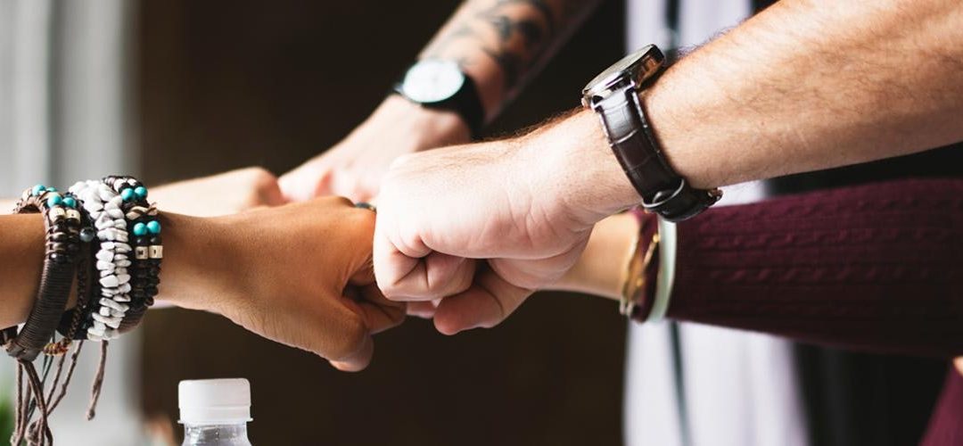 What Does Brand Authenticity Look Like in the Era of Fake News and Fake Followers?