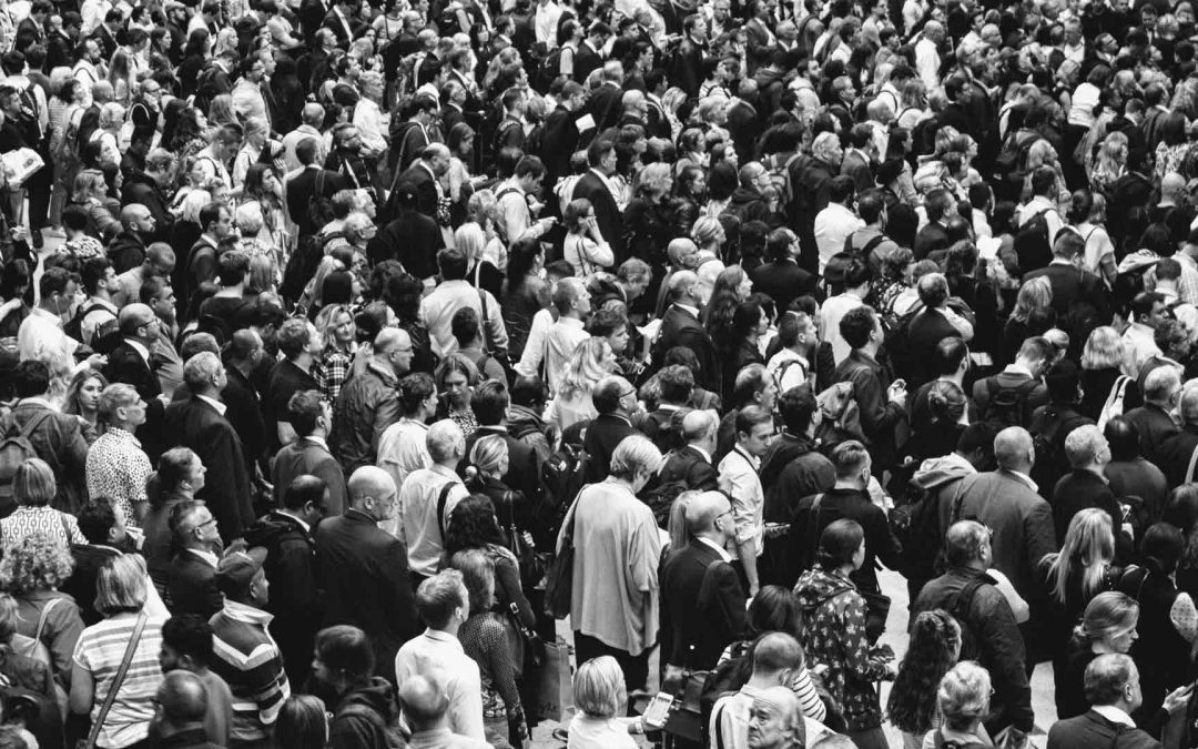 Brand Awareness and Customer Acquisition in Crowded, Competitive Markets