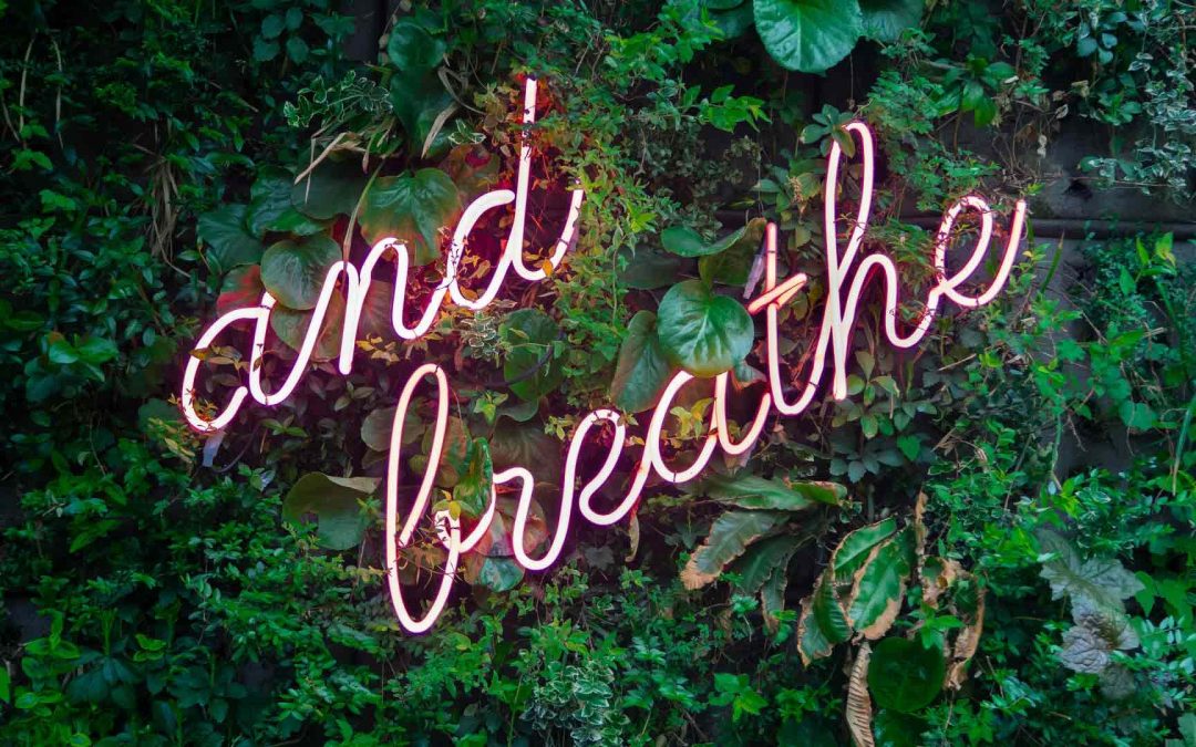 Productivity vs. Self-care: Finding the Right Balance