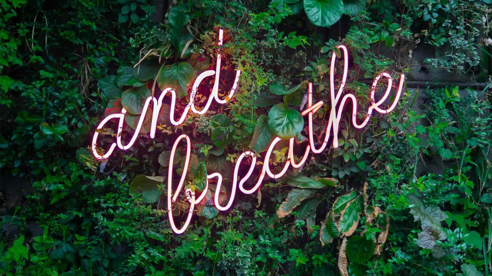 Neon Sign That Reads And Breathe