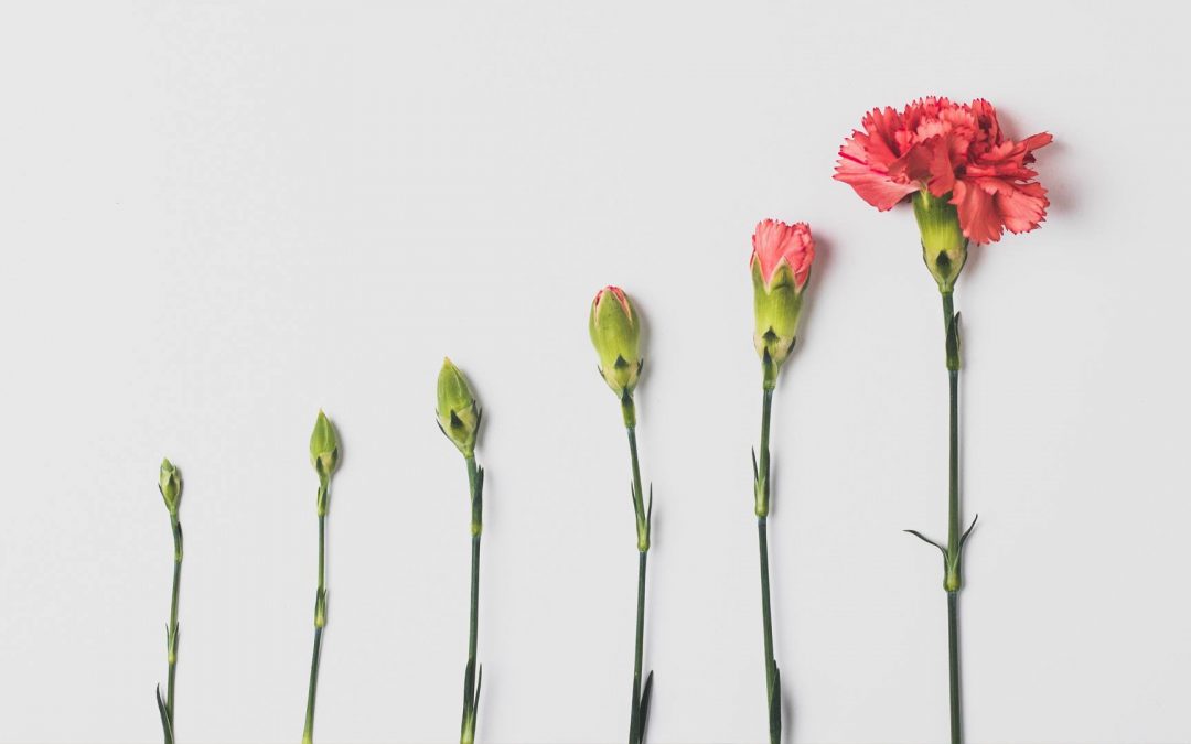 Why Marketing Is Important for Growing Businesses