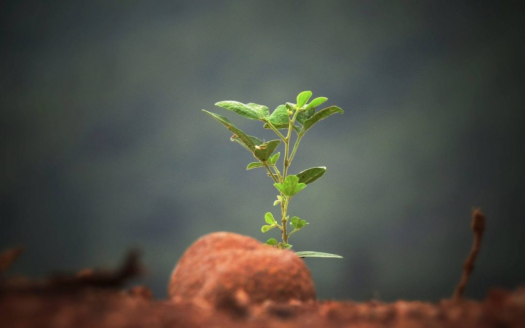 Content Marketing Is a Long-Term Strategy